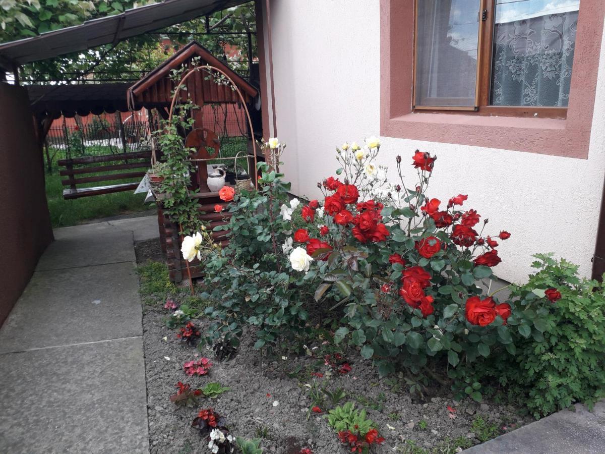 Pensiunea Ileana Novaci-Străini Exterior foto