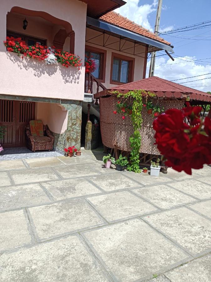 Pensiunea Ileana Novaci-Străini Exterior foto