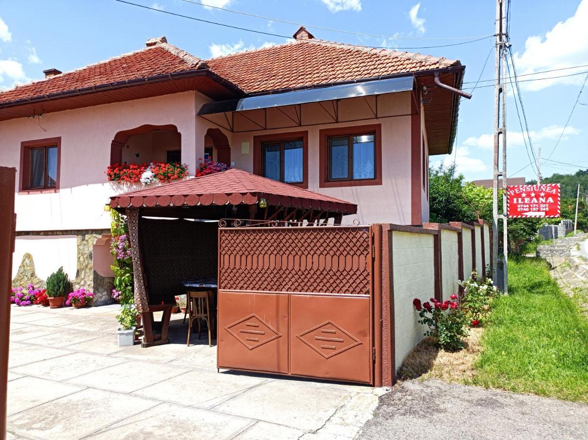 Pensiunea Ileana Novaci-Străini Exterior foto
