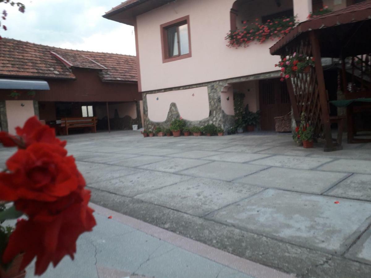 Pensiunea Ileana Novaci-Străini Exterior foto