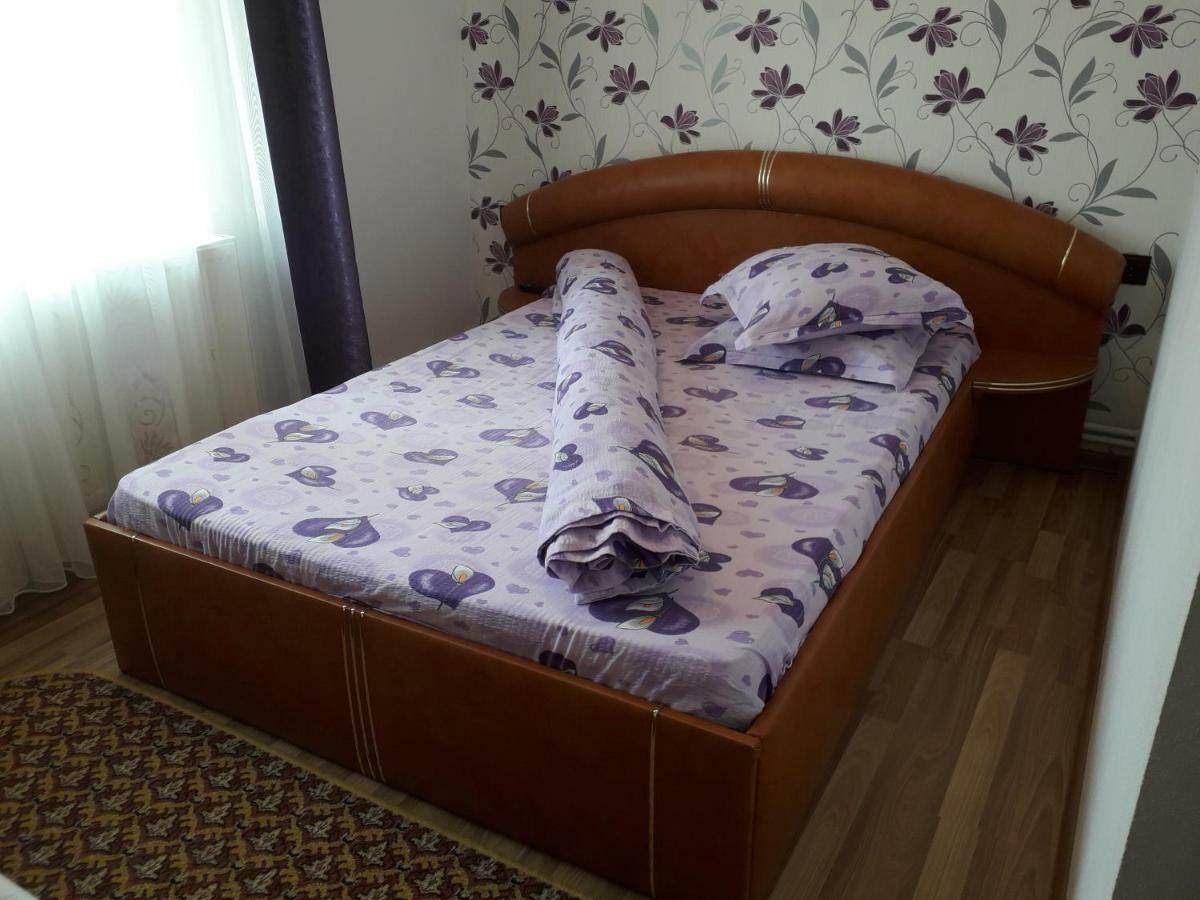 Pensiunea Ileana Novaci-Străini Exterior foto
