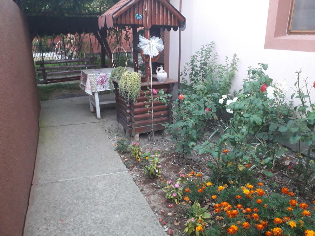 Pensiunea Ileana Novaci-Străini Exterior foto